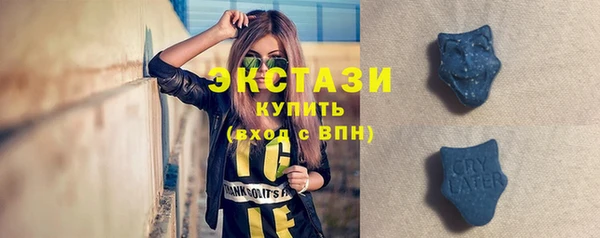 гашик Алексин