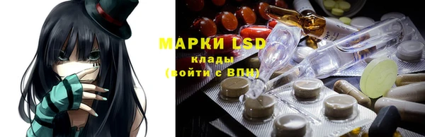 гашик Алексин
