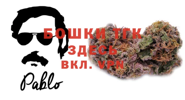 гашик Алексин