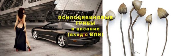 синтетический гашиш Алексеевка