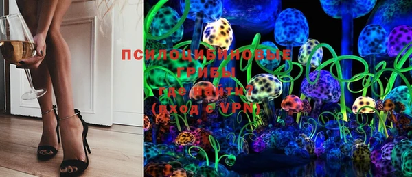 винт Абаза