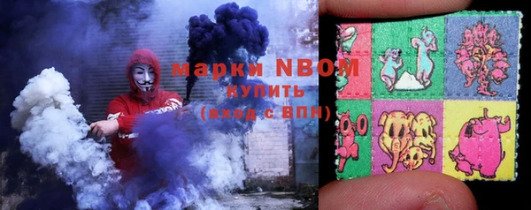 гашик Алексин