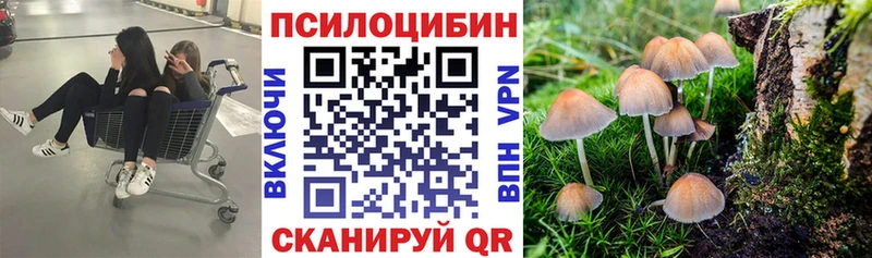 Галлюциногенные грибы прущие грибы  Заозёрный 